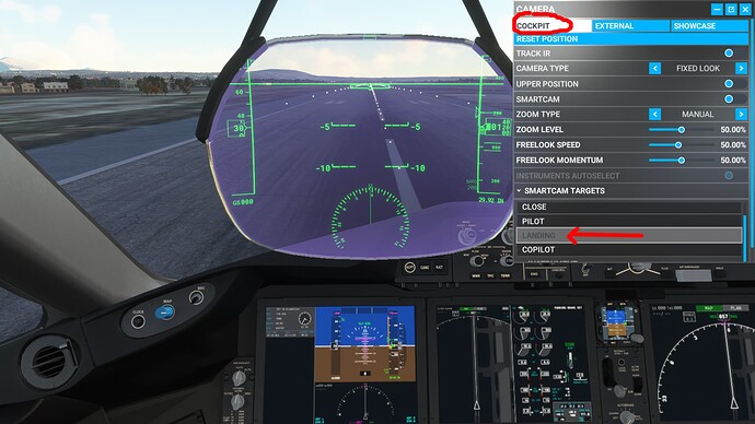 Microsoft Flight Simulator 22_11_2021 08_04_51