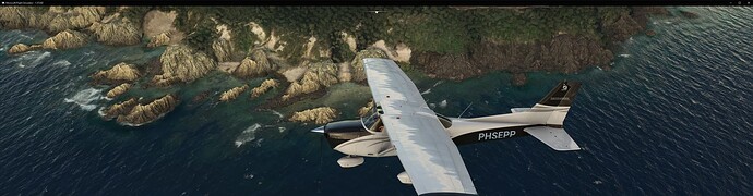 Microsoft Flight Simulator 22-3-2024 23_56_31 (1)