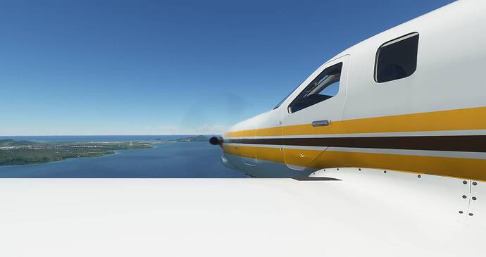 Microsoft Flight Simulator 6_22_2021 2_31_51 PM
