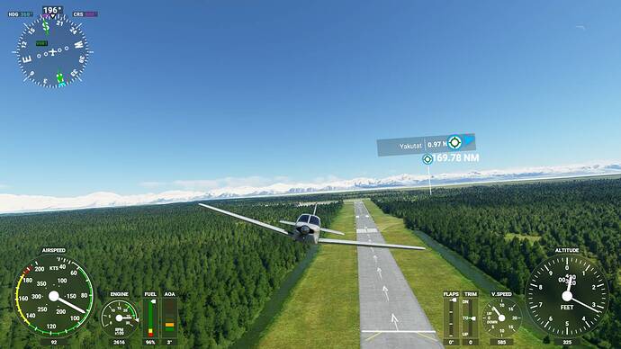 Microsoft Flight Simulator 6_14_2021 12_06_53 PM