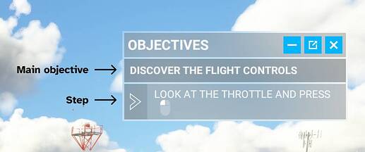 View of objectives and steps in the objectives panel