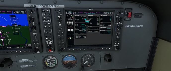 Microsoft Flight Simulator 10_20_2022 2_59_13 PM
