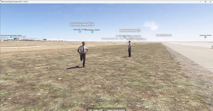 Microsoft Flight Simulator 2024 25-Apr-25 21_27_48