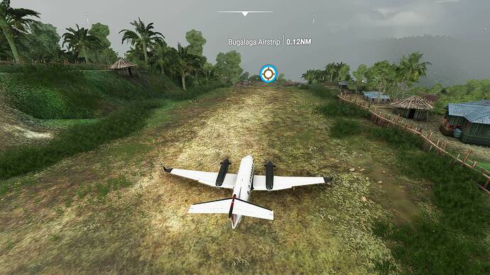 Microsoft Flight Simulator 02.08.2021 20_59_06