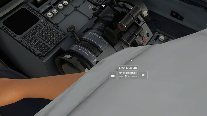 Microsoft Flight Simulator (12)