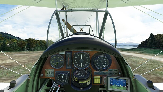 Tiger Moth Compass And I Do Not Get Along