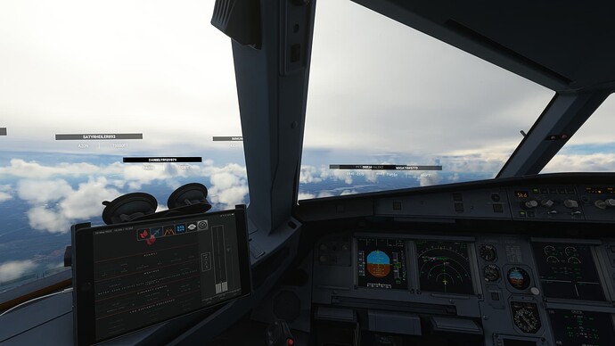 Microsoft Flight Simulator - 1.25.9.0 20.05.2022 18_31_43