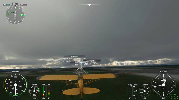 Microsoft Flight Simulator Screenshot 2021.07.30 - 21.36.57.44