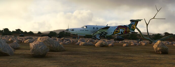 Microsoft Flight Simulator Screenshot 2023.12.04 - 21.58.02.13b