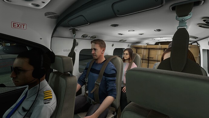 Microsoft Flight Simulator Screenshot 2021.12.19 - 01.29.55.04