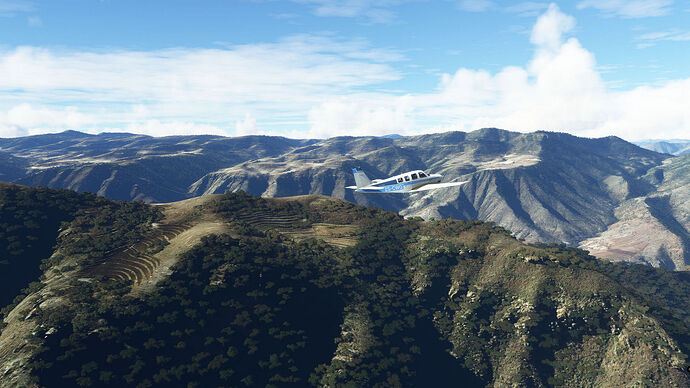 FS2020 2023-07-24 207