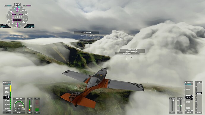 Microsoft Flight Simulator 07.11.2021 22_18_36_Bildgröße ändern