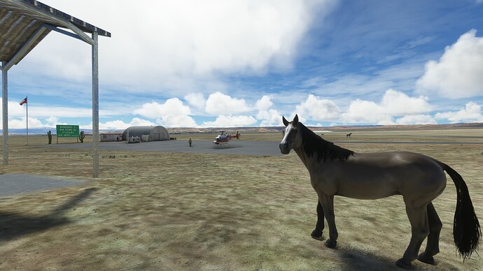 Microsoft Flight Simulator Screenshot 2022.11.14 - 12.40.35.81