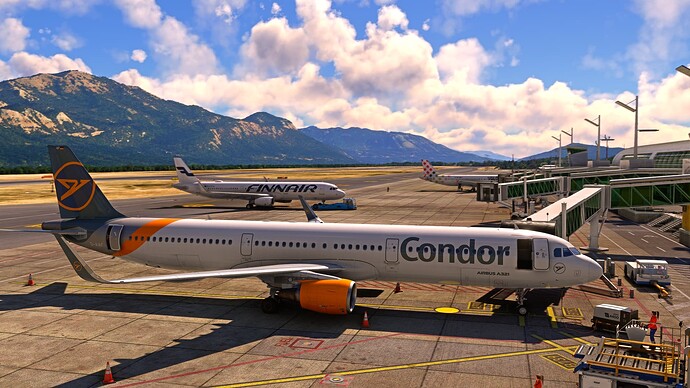 Microsoft Flight Simulator - 1.38.2.0 15.04.2025 19_28_48