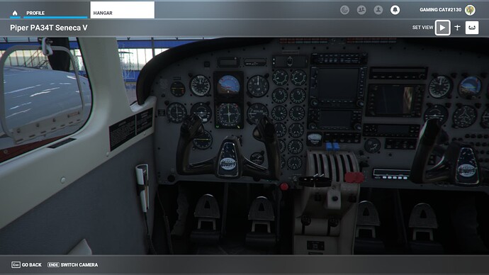 Microsoft Flight Simulator 21.01.2022 17_17_12