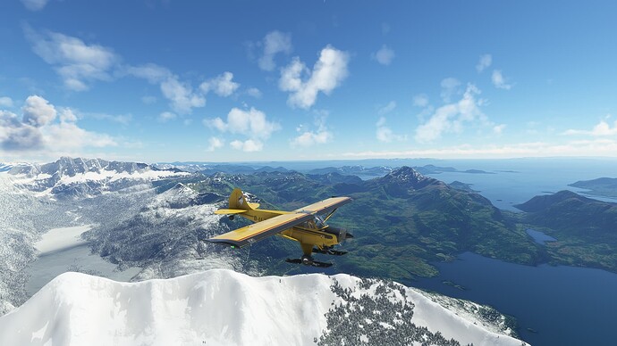 Microsoft Flight Simulator 8_2_2022 8_48_34 PM