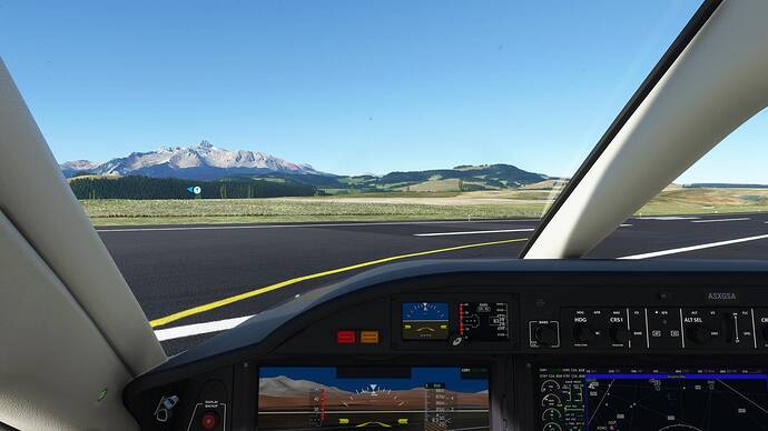 Microsoft Flight Simulator 05_08_2021 16_31_33