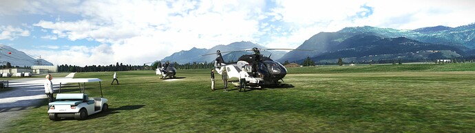 Microsoft Flight Simulator Screenshot 2022.11.06 - 14.48.59.62