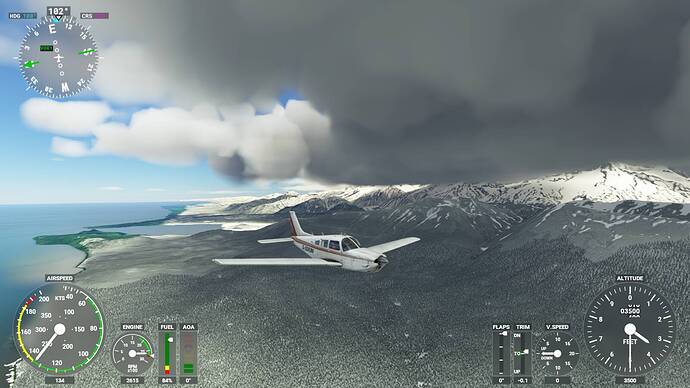 Microsoft Flight Simulator 6_14_2021 1_35_33 PM