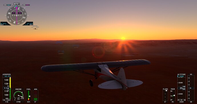 Microsoft Flight Simulator 14_02_2022 20_02_23