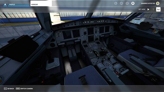 Microsoft Flight Simulator 03.08.2021 13_05_36