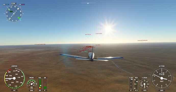 Microsoft Flight Simulator Screenshot 2022.01.30 - 20.19.21.91