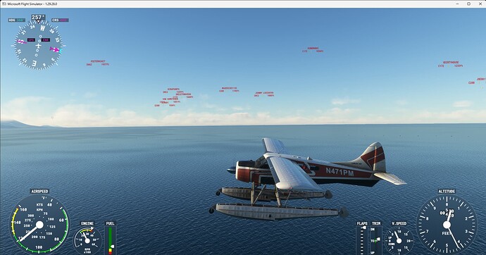 Microsoft Flight Simulator 25-Nov-22 9_04_00 PM