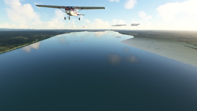Microsoft Flight Simulator 5_15_2022 11_55_32 AM