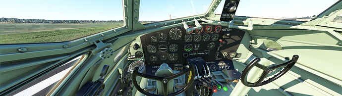 Microsoft Flight Simulator 3_17_2023 3_05_31 PM