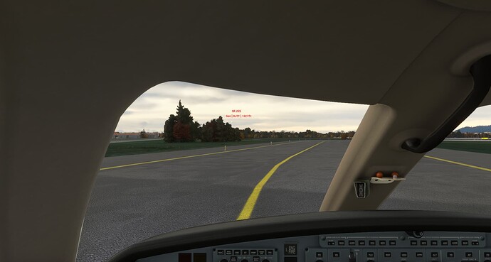 Microsoft Flight Simulator 11_5_2021 8_49_32 AM