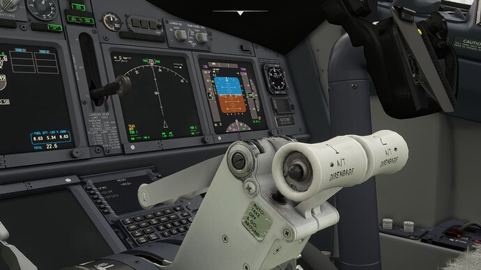 Microsoft Flight Simulator 6_4_2022 10_15_41 PM