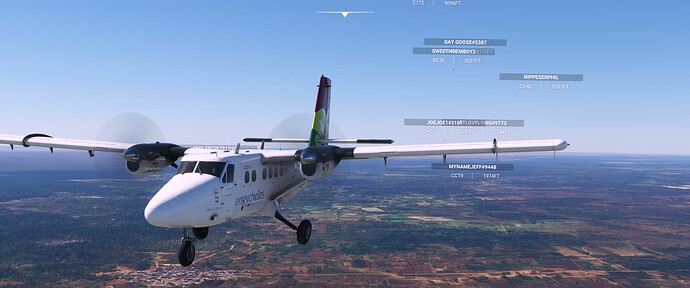 Microsoft Flight Simulator Screenshot 2022.01.25 - 09.48.00.28