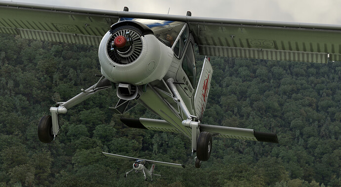 MSFS_PZL104Wilga_24