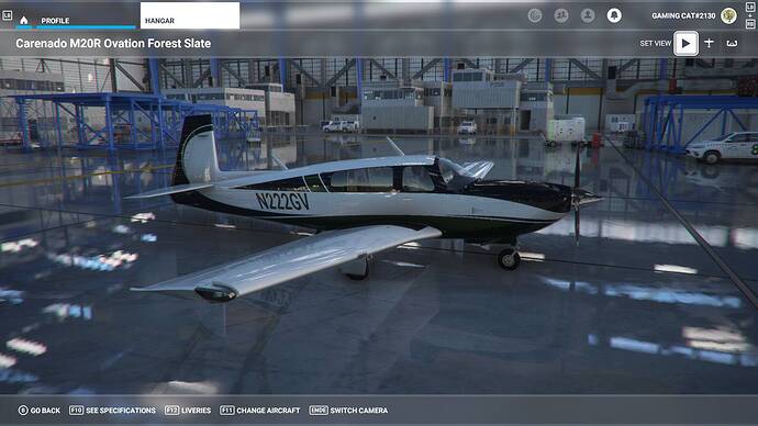 Microsoft Flight Simulator 15.08.2021 20_45_02