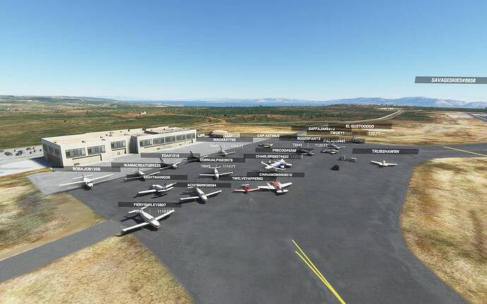 Microsoft Flight Simulator 2_07_2021 10_59_33 p.m.