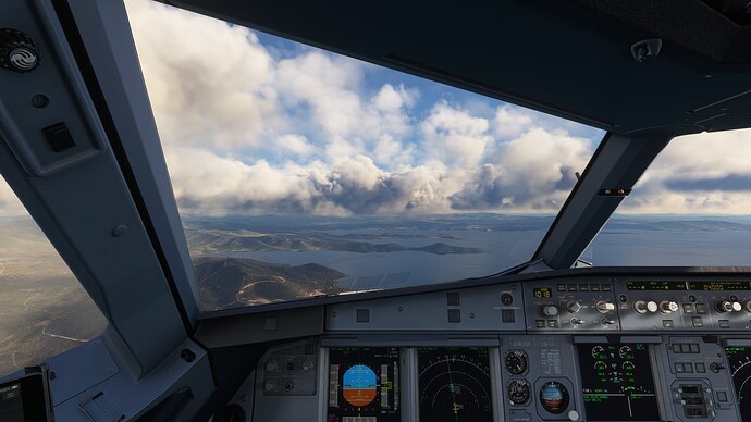 Microsoft Flight Simulator 6_1_2024 23_31_48