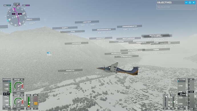Microsoft Flight Simulator Screenshot 2022.03.04 - 21.30.58.87