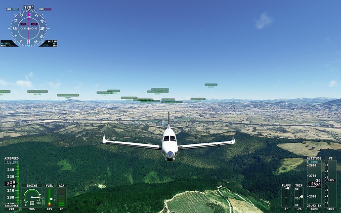 Microsoft Flight Simulator 28_05_2022 12_14_39 a.m.