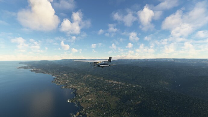 Microsoft Flight Simulator 25. 3. 2024 23_11_30