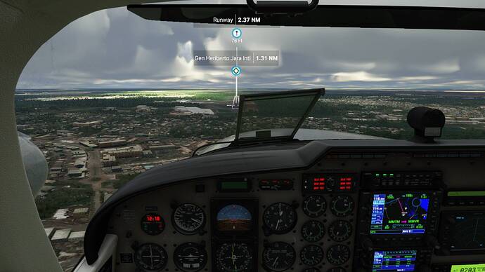 Microsoft Flight Simulator 5_28_2021 10_18_04 AM