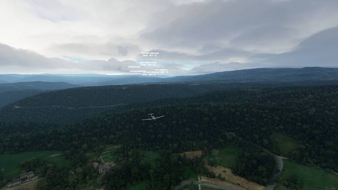 Microsoft Flight Simulator - 1.17.3.0 20.06.2021 21_57_33
