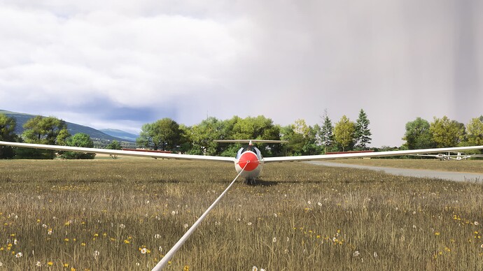 Microsoft Flight Simulator 2024 Screenshot 2025.04.12 -glider montrichet Spring 16-9.PNG