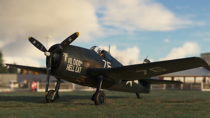 Microsoft Flight Simulator-2024_02_18-11-27-33