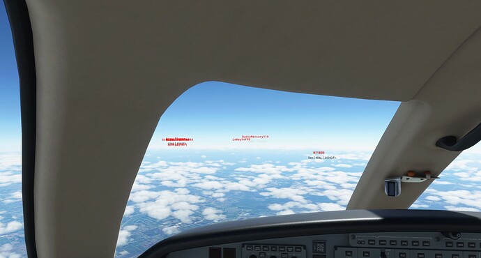 Microsoft Flight Simulator 10_29_2021 10_09_00 AM