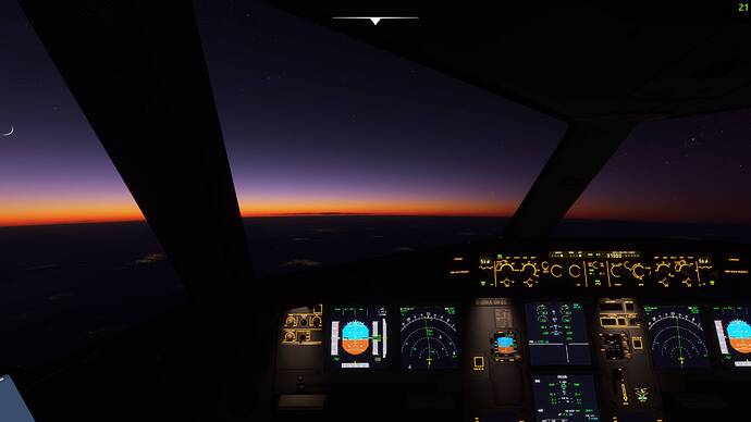 Microsoft Flight Simulator 10_08_2021 21_51_41