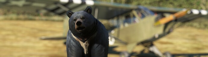 bear17