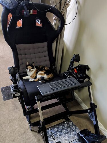 copilot1