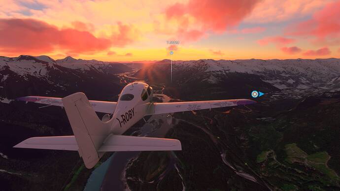 Microsoft Flight Simulator (42)