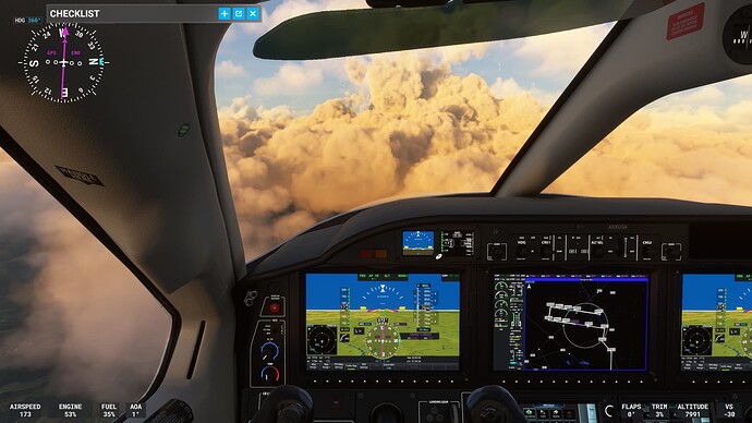 Microsoft Flight Simulator 1_8_2022 4_39_02 PM