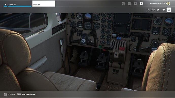 Microsoft Flight Simulator 21.01.2022 13_20_04